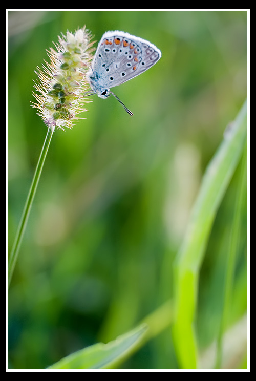 Pronta per il grande salto!