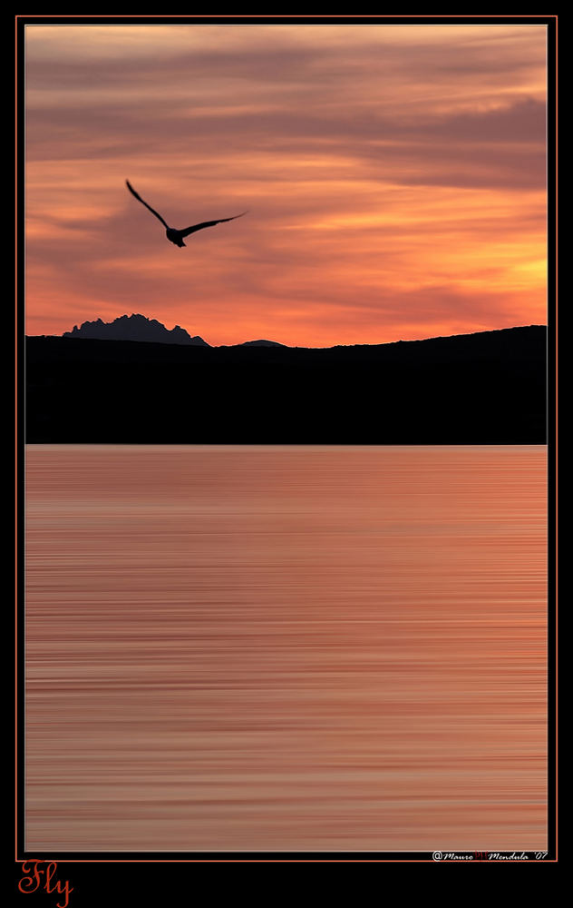 *Fly* Of the dying Sun...