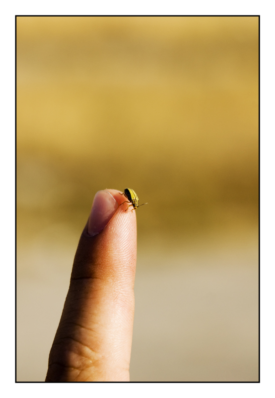 .......    i    .........