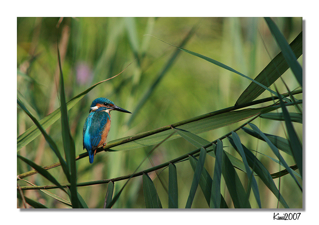 Guarda che ti ho visto....