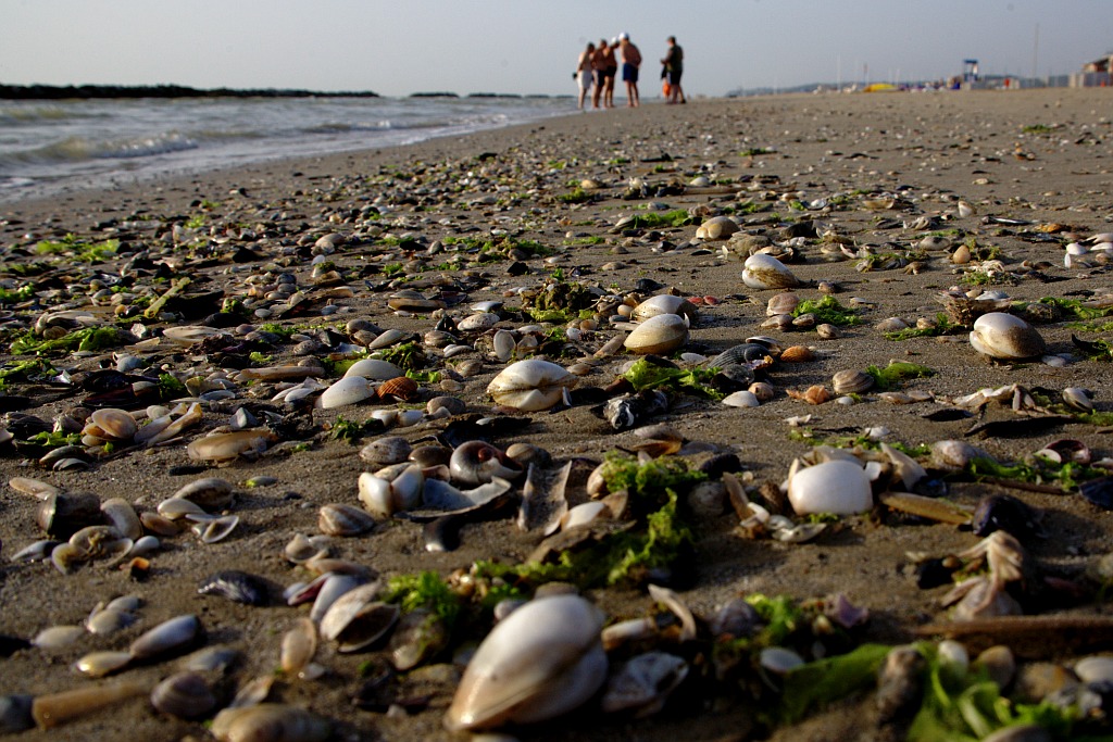 Prospettive dell'evoluzione