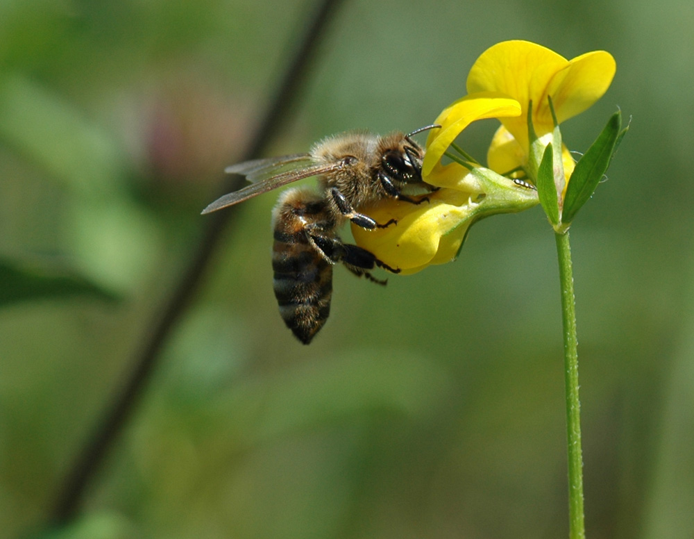 aspettando il proprio turno...