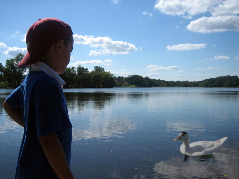 non piu in solitudine...