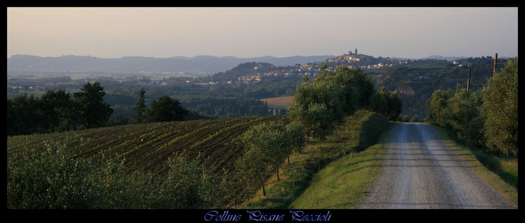 Peccioli da lontano - Colline Pisane
