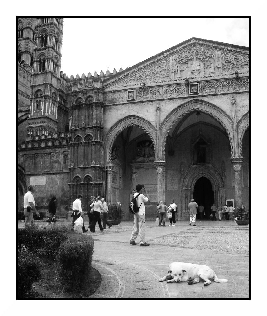 La Cattedrale e il Cane