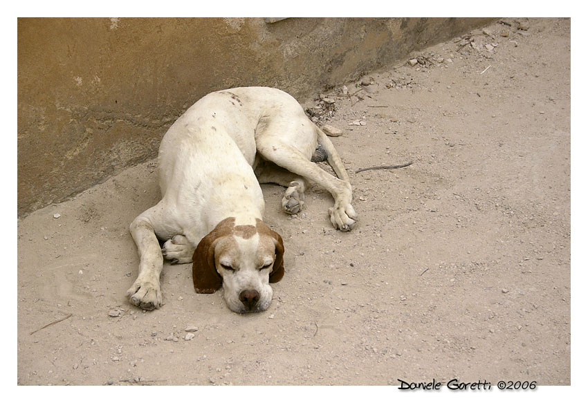 Vita Monotona e Monot�na