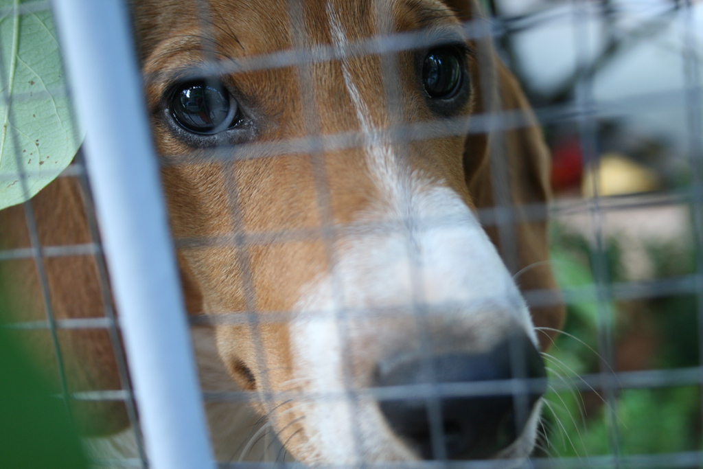 ..il ferragosto..da un altro punto di vista..