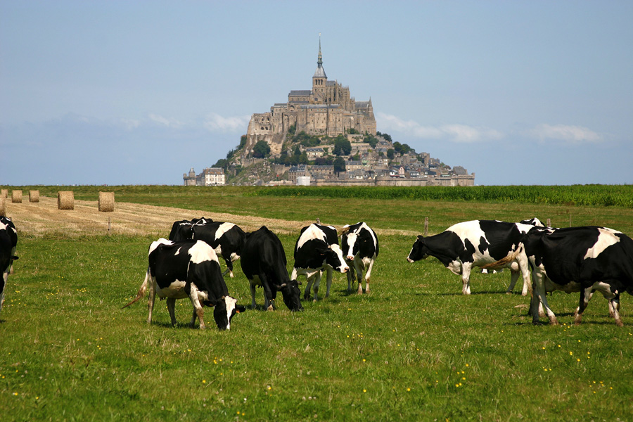 turisti al Mont Saint Michel