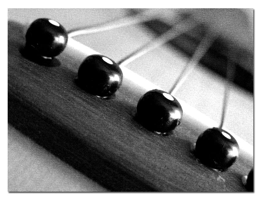 Particolare_Arminico_3