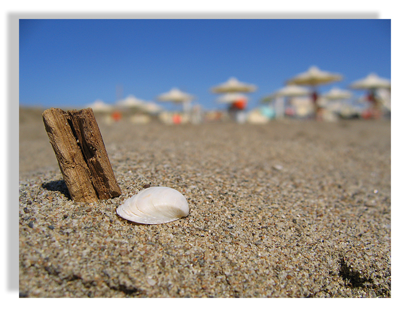 Spiaggia - Close Up