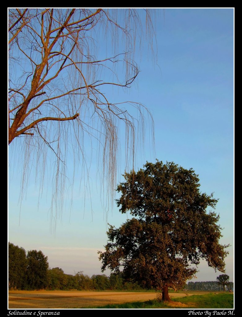 Solitudine e speranza