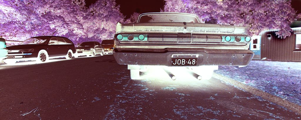 AMSTERDAM, IN UN GIORNO QUALUNQUE #1