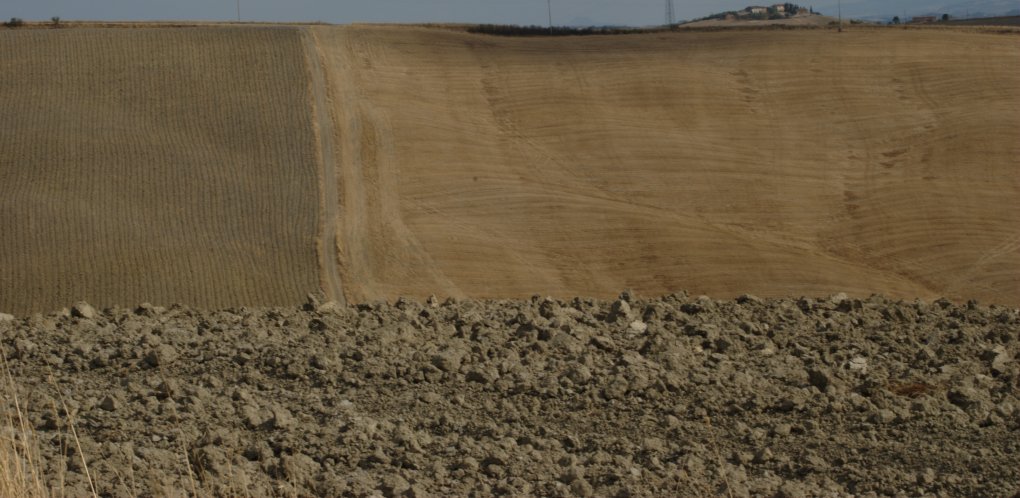 Terra di Siena......