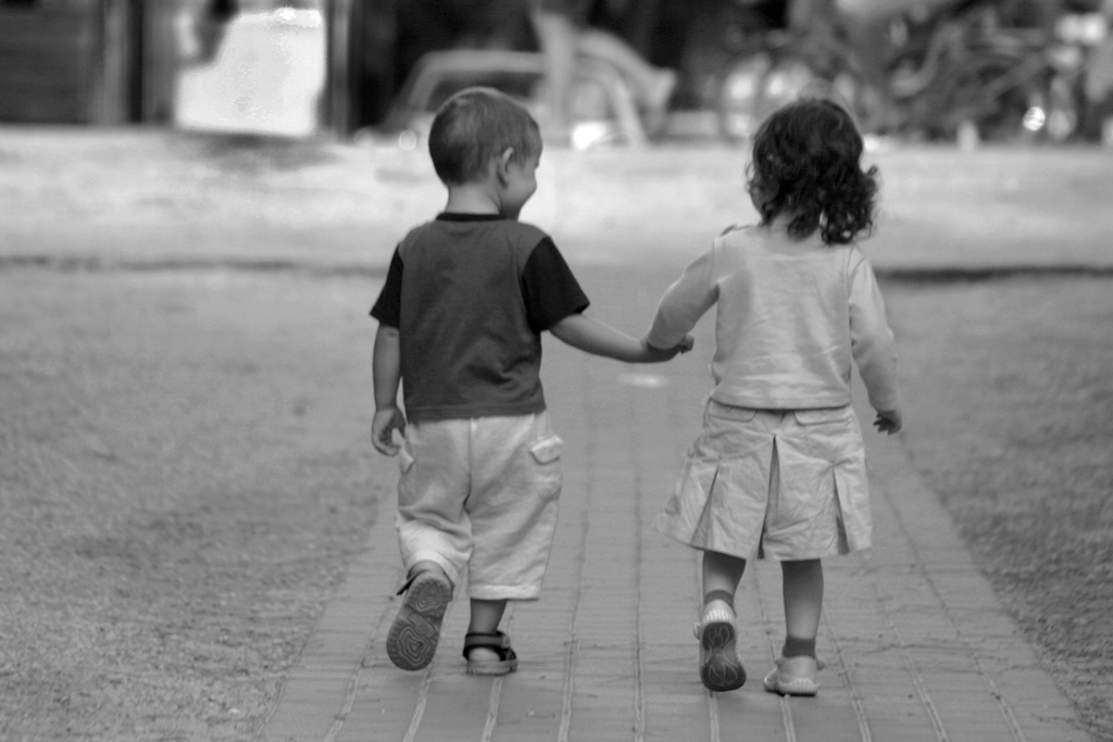 giovani galli crescono