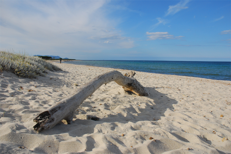 La calma della sera, verso il tramonto