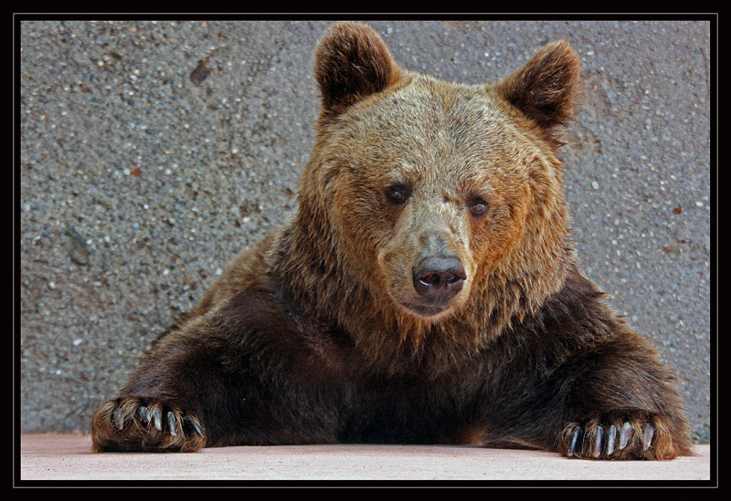 Tiratemi fuori di qua!