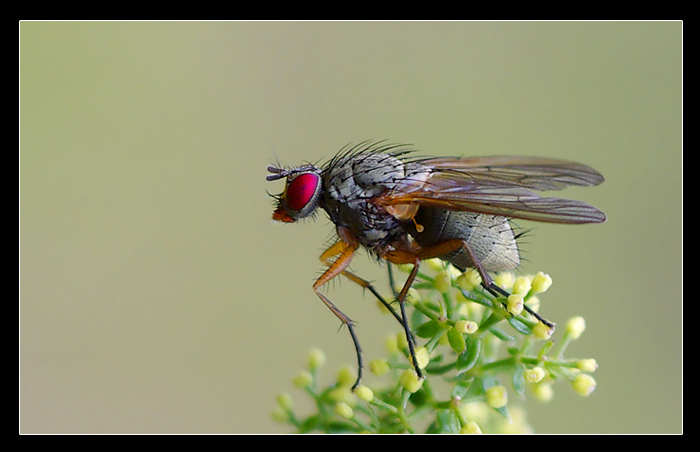 Rossetto sulle labbra