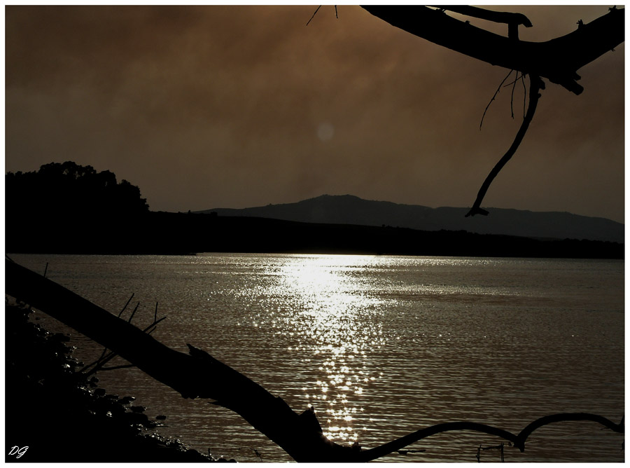 scia di luce tra i rami