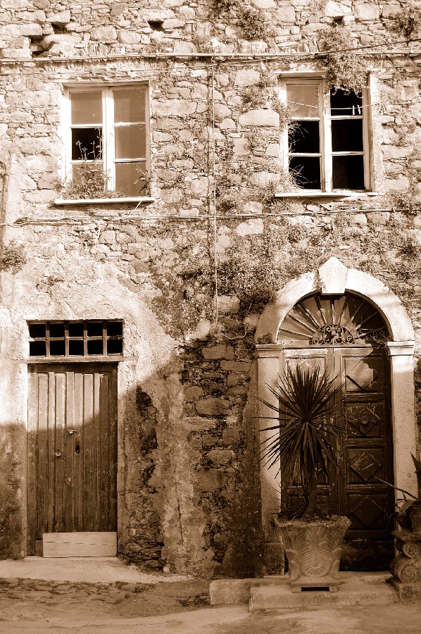 Quanta vita � passata di qua...