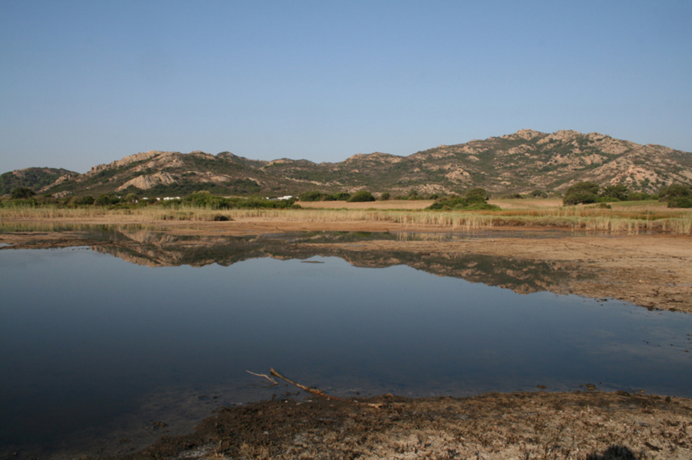 stagno - berchida (NU) estate