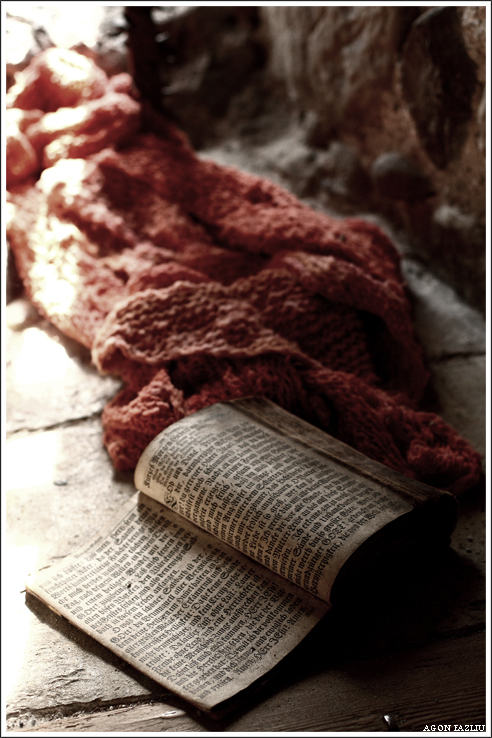 l'unico amico di un prigioniero ....