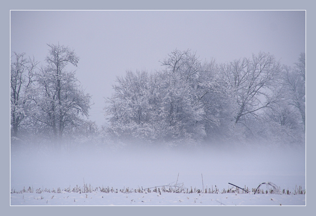Nebbia e neve 1