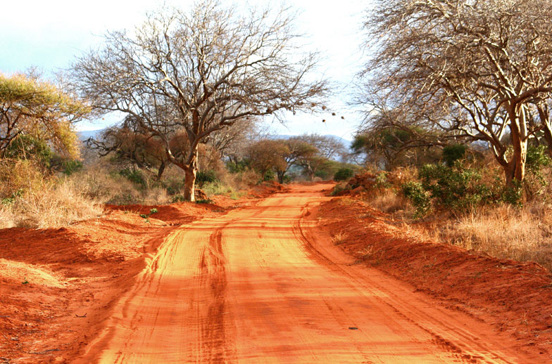 A zonzo per la Savana