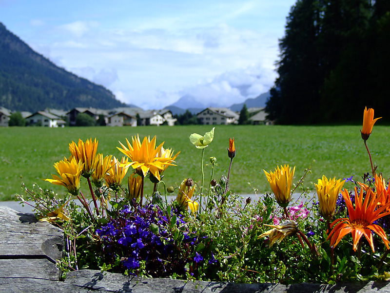 ...saluti da SILS...