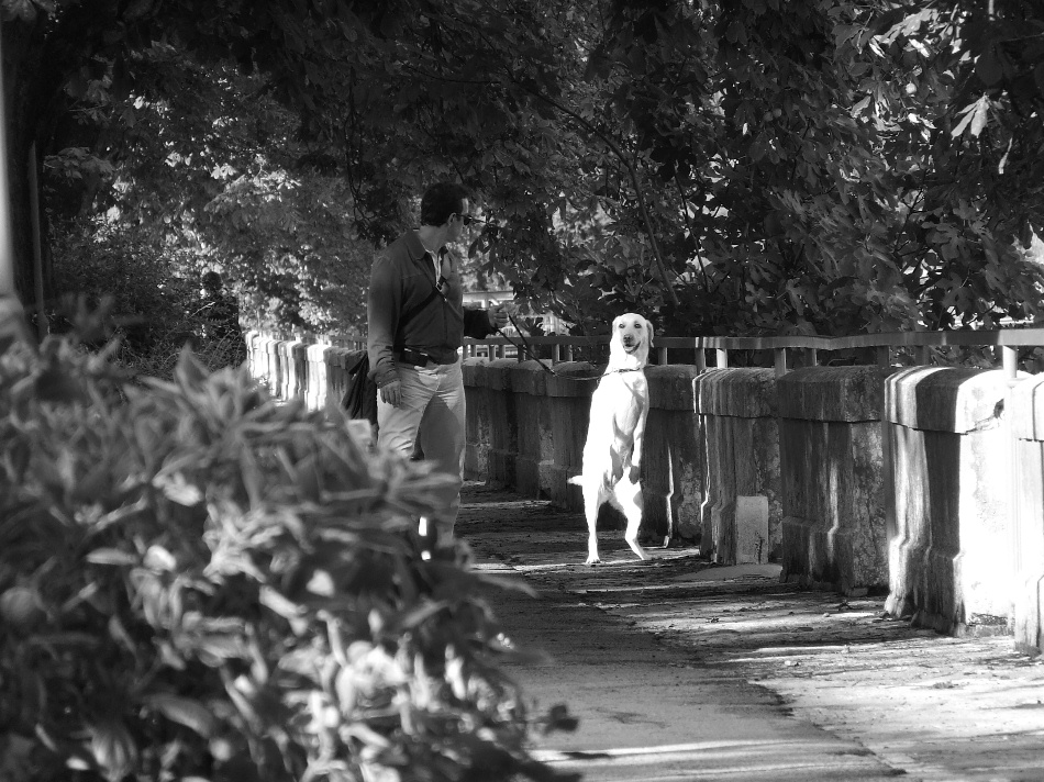 Due passi con il padrone