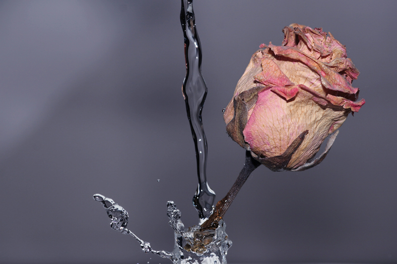 CONTEST: Troppo Tardi