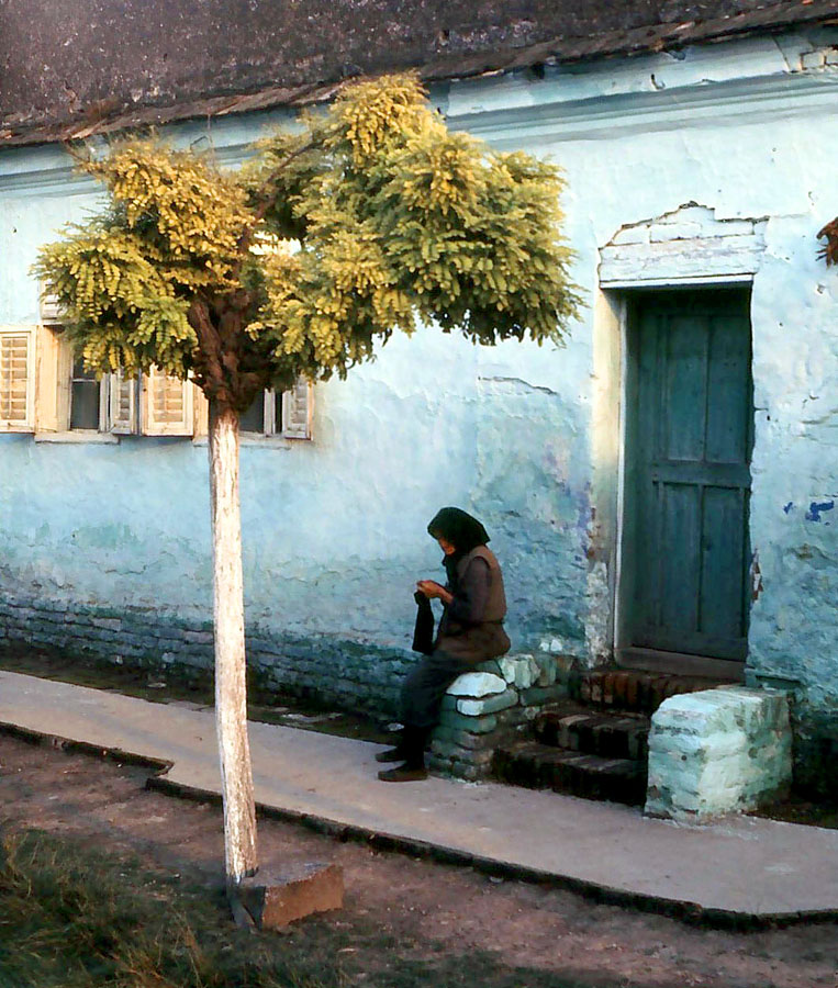 vivere alla luce del sole