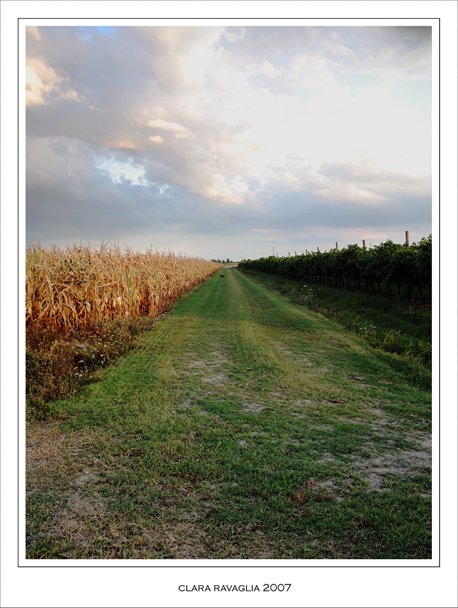 La forza dei colori.....