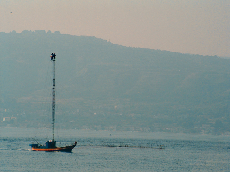 la pesca del pesce spada