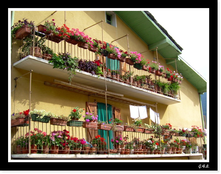 Balcone fiorito...