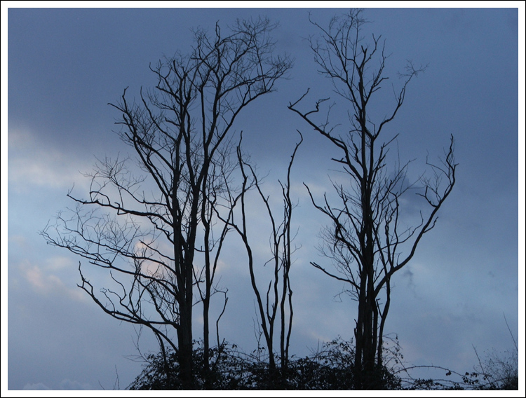 Ultime luci della sera