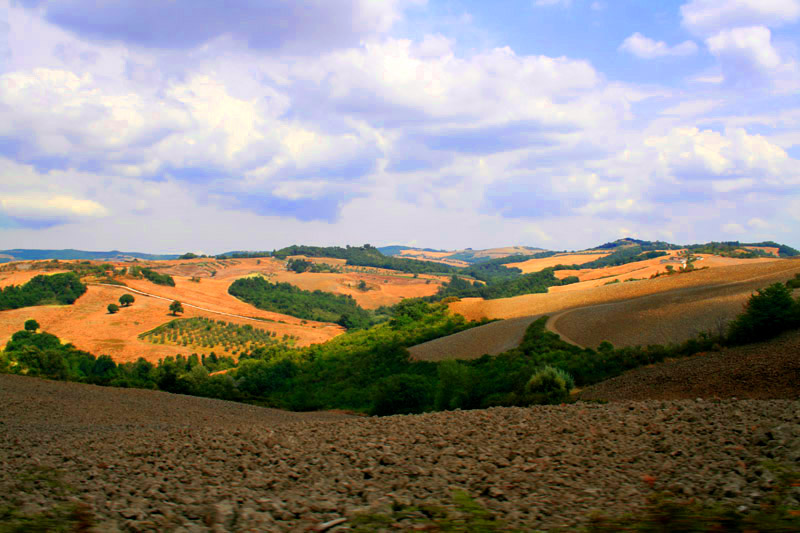colline toscane