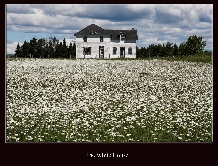 The White House