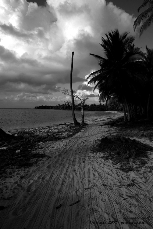 punta cana b&w