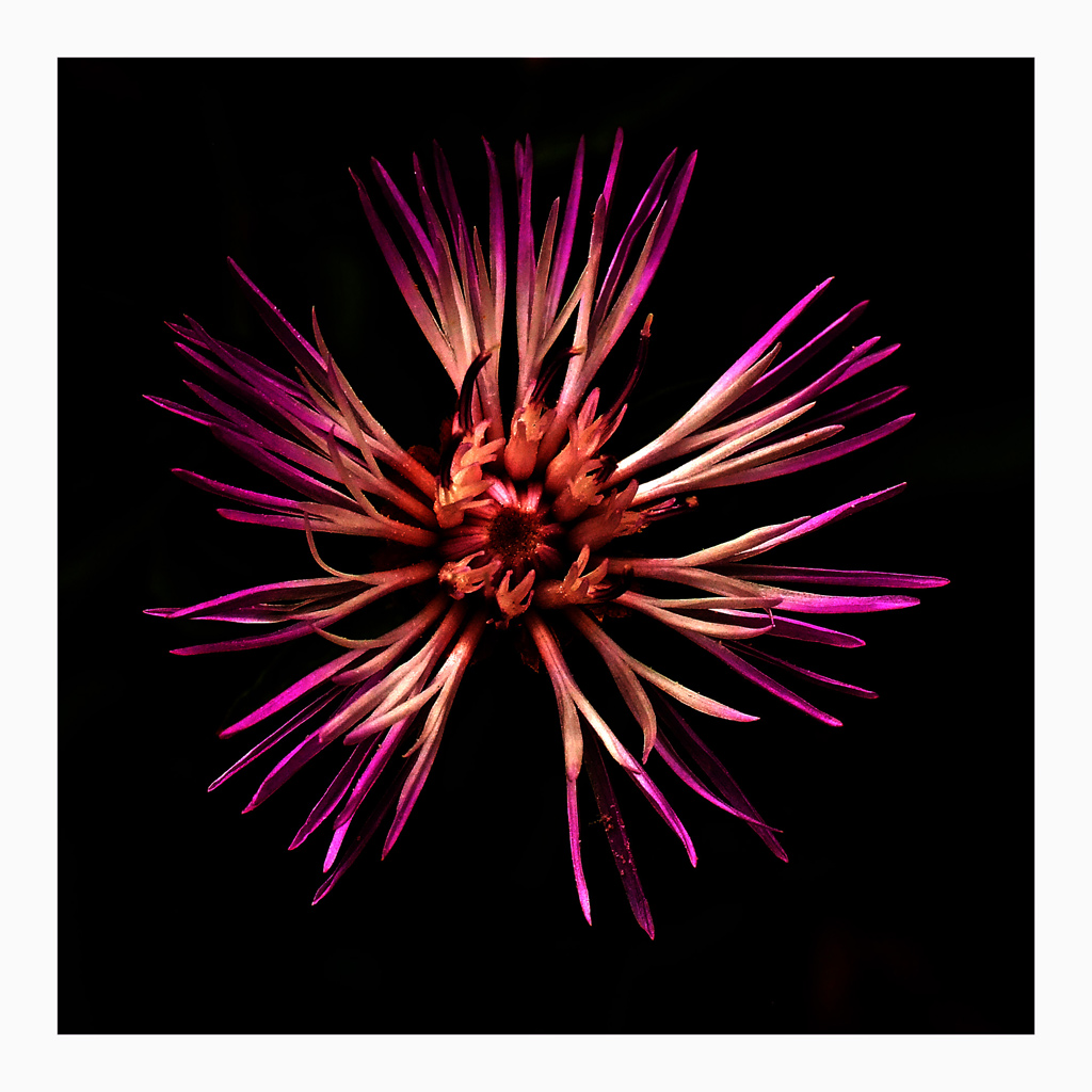 Colors in the dark....