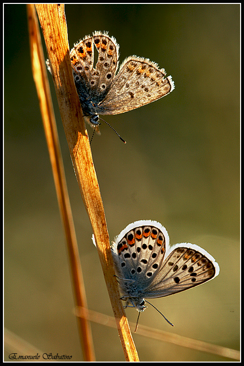 Presente e passato in controluce...