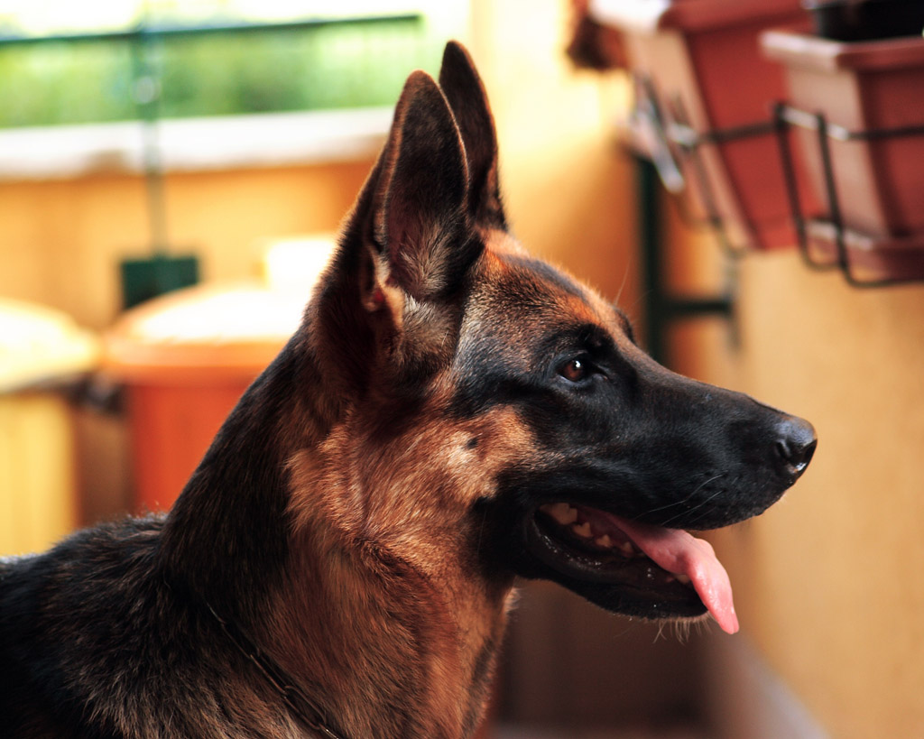 In attesa di una carezza..scruto l'orizzonte