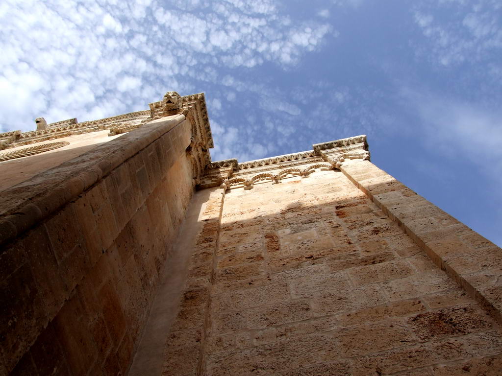 leoni tra i cieli di Ostuni