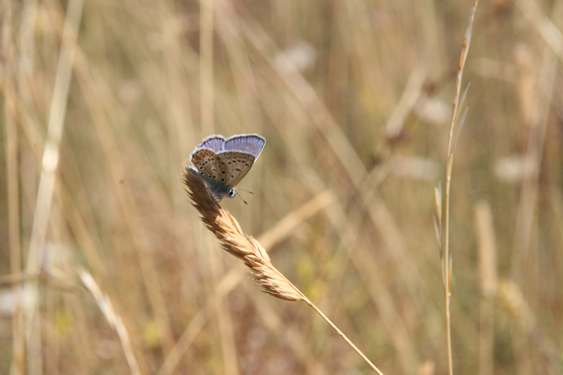 gioco di diagonali e luce