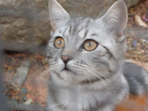 break on through (to the otherside)