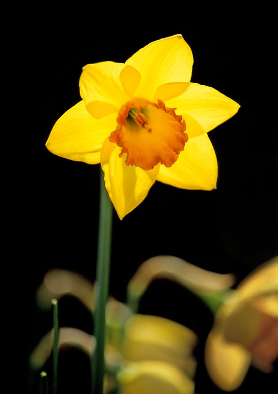 Finalmente primavera!