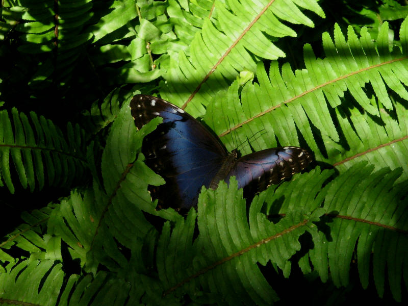 Appena posata dopo il volo
