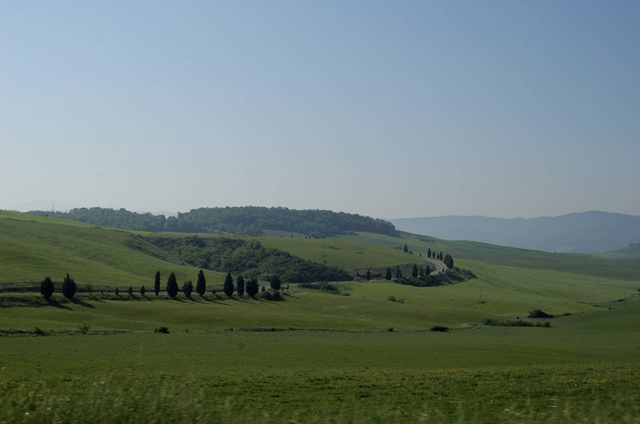 Colline senesi