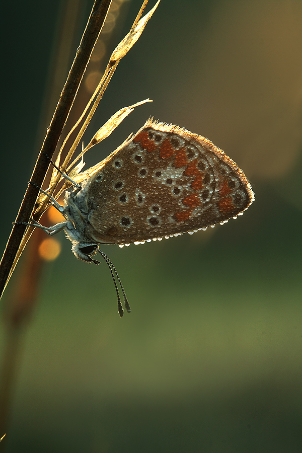 Ore 7.15... si incomincia a vivere!