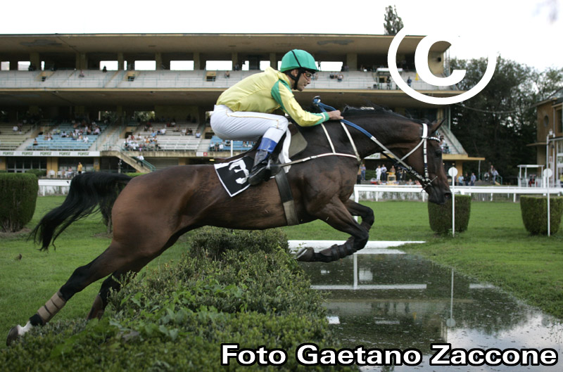 Ippodromo di Maia Merano (Bz) Salto della Riviera Foto G. Zaccone