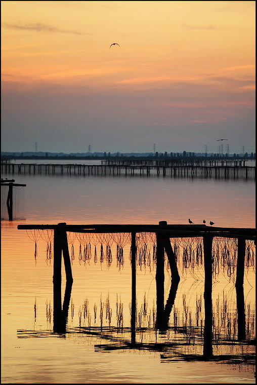 Ultimi voli del giorno